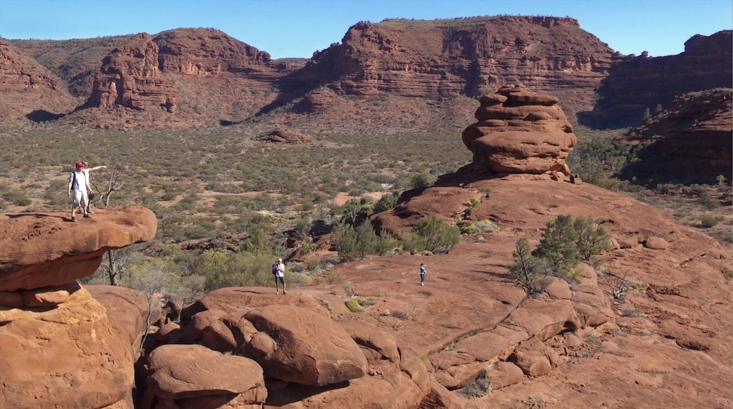 Alice Springs showing hiking or walking, desert views and a gorge or canyon