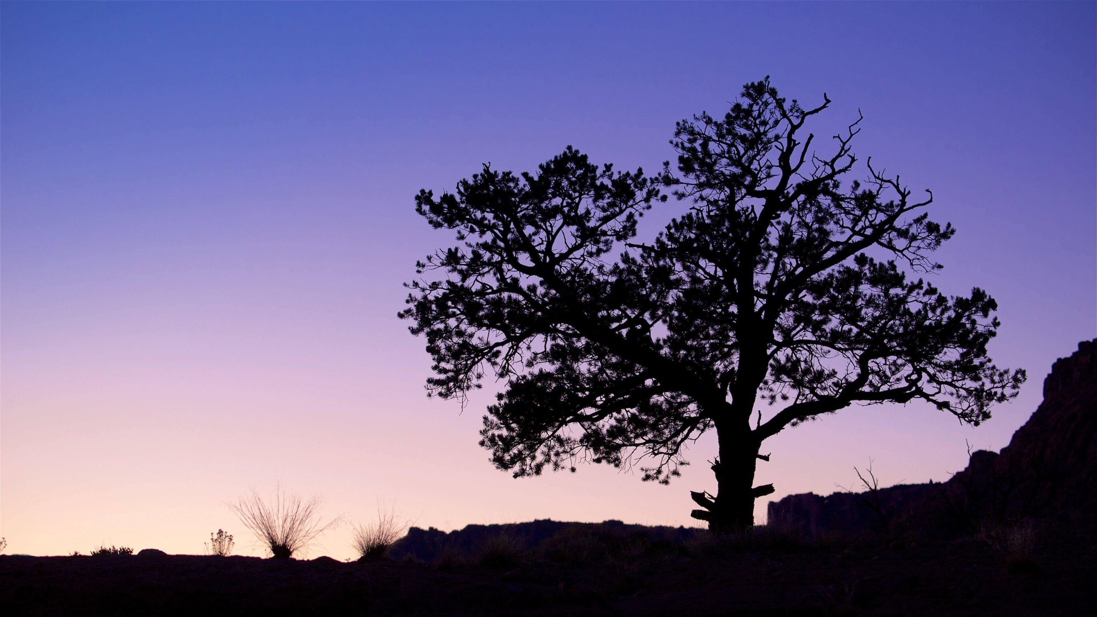 Capitol Reef National Park mostrando cenas tranquilas, paisagens do deserto e um pôr do sol
