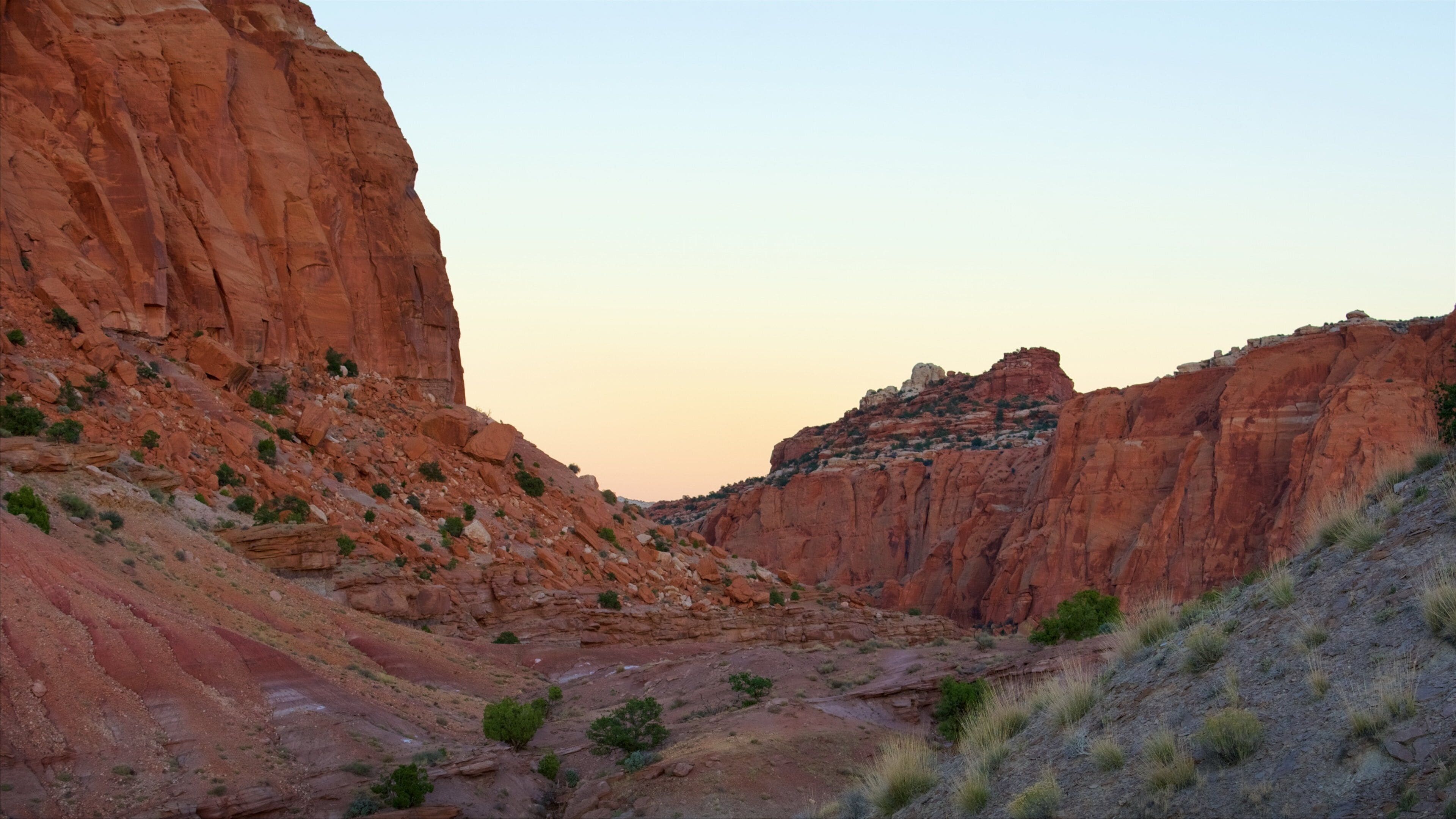 Capitol Reef National Park que inclui cenas tranquilas, paisagens do deserto e um desfiladeiro ou canyon