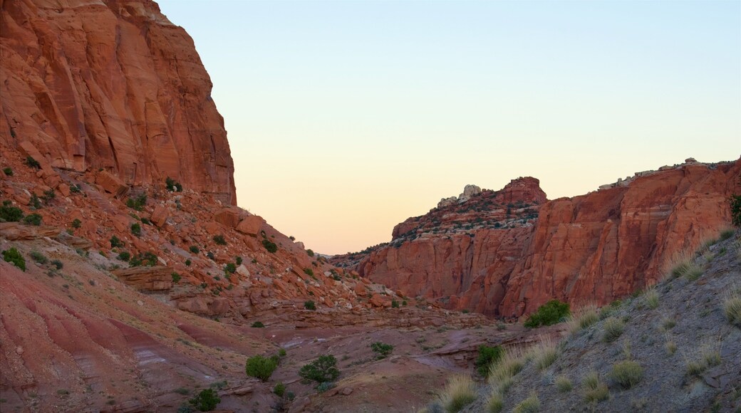 Capitol Reef National Park que inclui cenas tranquilas, paisagens do deserto e um desfiladeiro ou canyon
