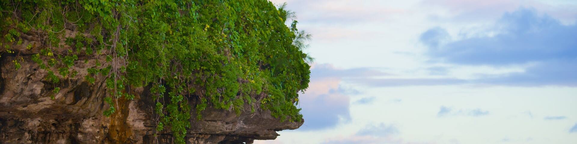 Atiu showing rugged coastline