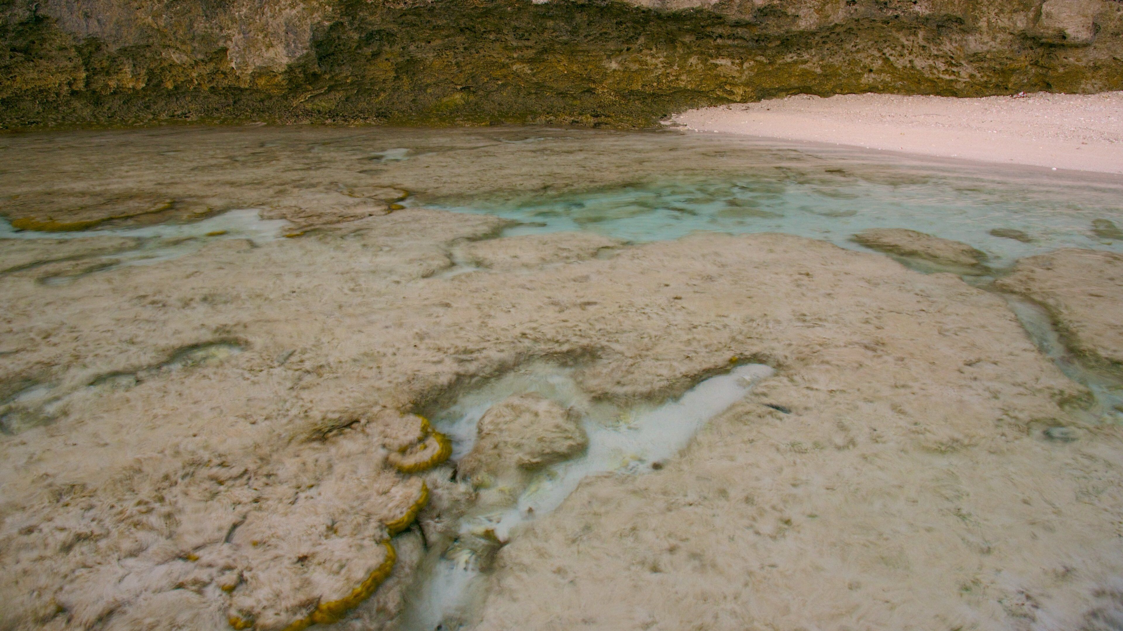Cooks Landing featuring general coastal views