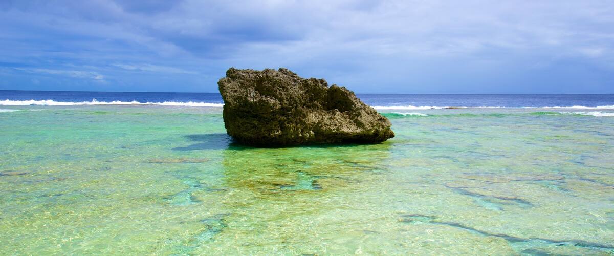 ์ํฐ์ฐ ์ ํน์ง ์ผ๋ฐ ํด์ ์ ๊ฒฝ