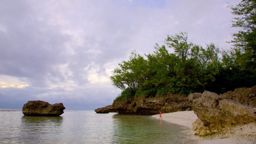 Atiu which includes rugged coastline
