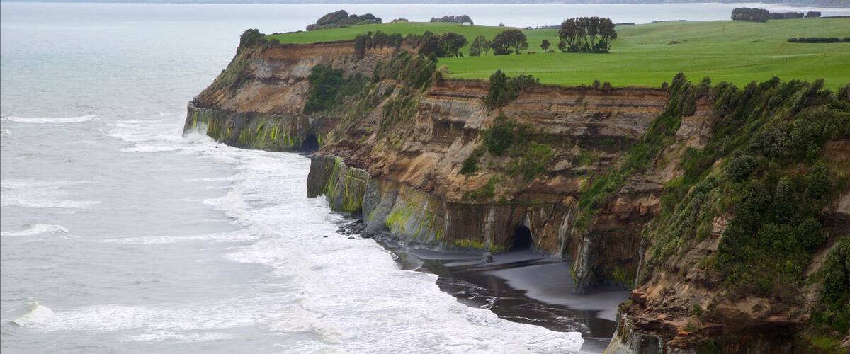 Nueva Plymouth que incluye una bahía o un puerto, surf y litoral accidentado