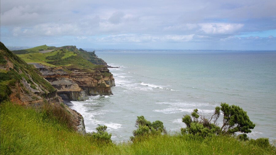 Nueva Plymouth ofreciendo costa rocosa, una bahía o puerto y surf