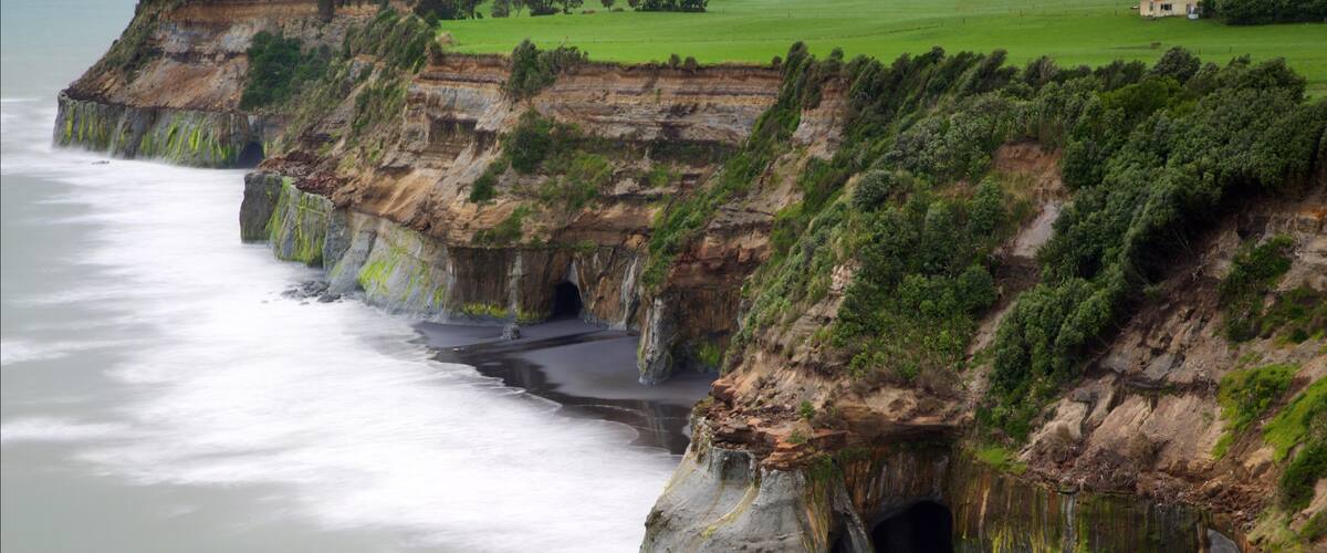 A coastal cliff with a cave entrance, lush greenery, and a beach.