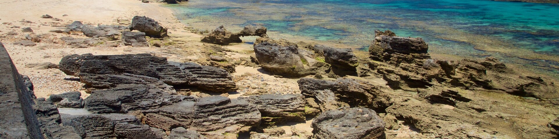 Isla Norfolk ofreciendo vista general a la costa, costa rocosa y una playa