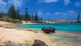 Norfolk Island showing a beach, rocky coastline and general coastal views