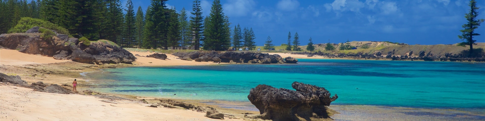 Ilha Norfolk que inclui paisagens litorâneas, litoral rochoso e uma praia