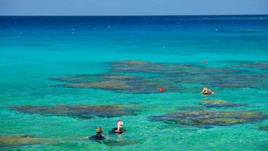 Lifou featuring snorkeling and colorful reefs as well as a small group of people