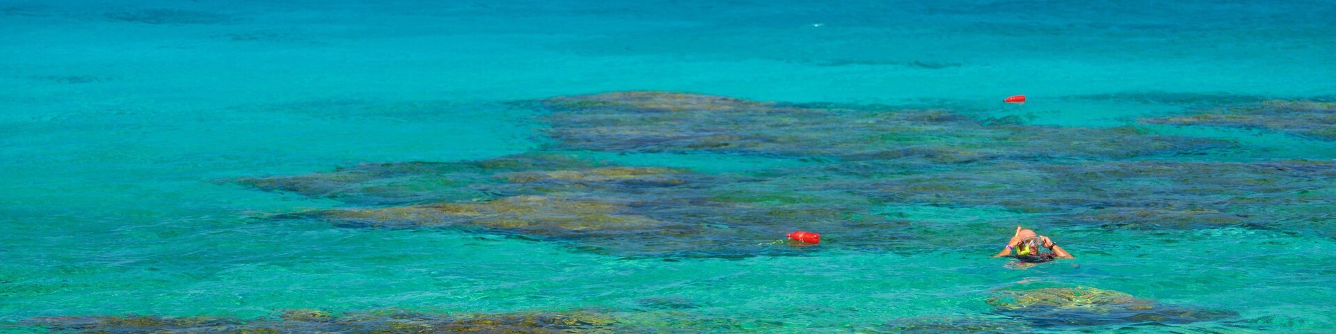 Un mar turquesa y transparente con arrecifes de coral y gente haciendo snorkel.