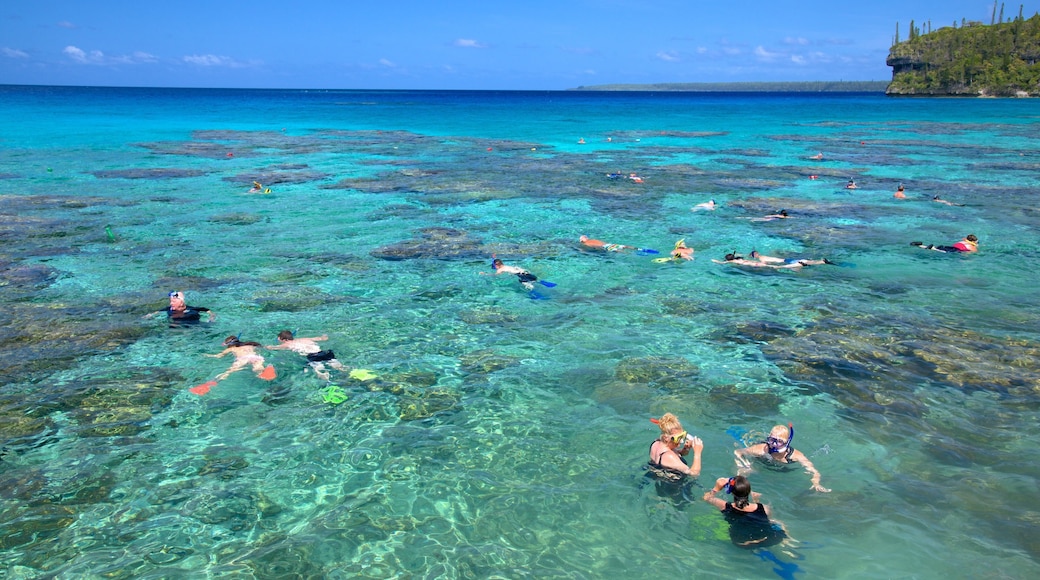Lifou which includes colourful reefs and snorkelling as well as a large group of people