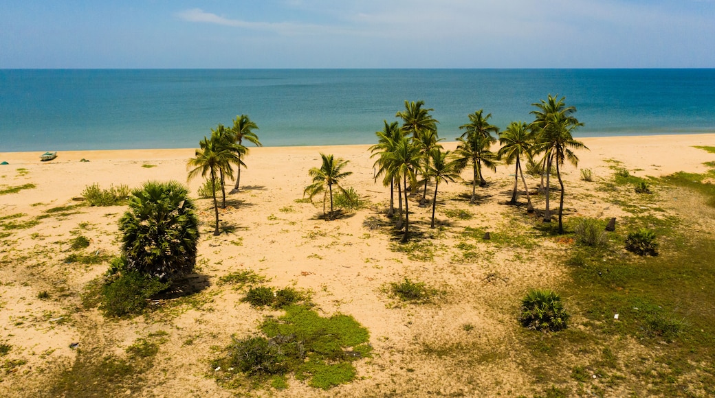 Aerial view of Tropical sandy beach with palm trees and blue sea. Sri Lanka.