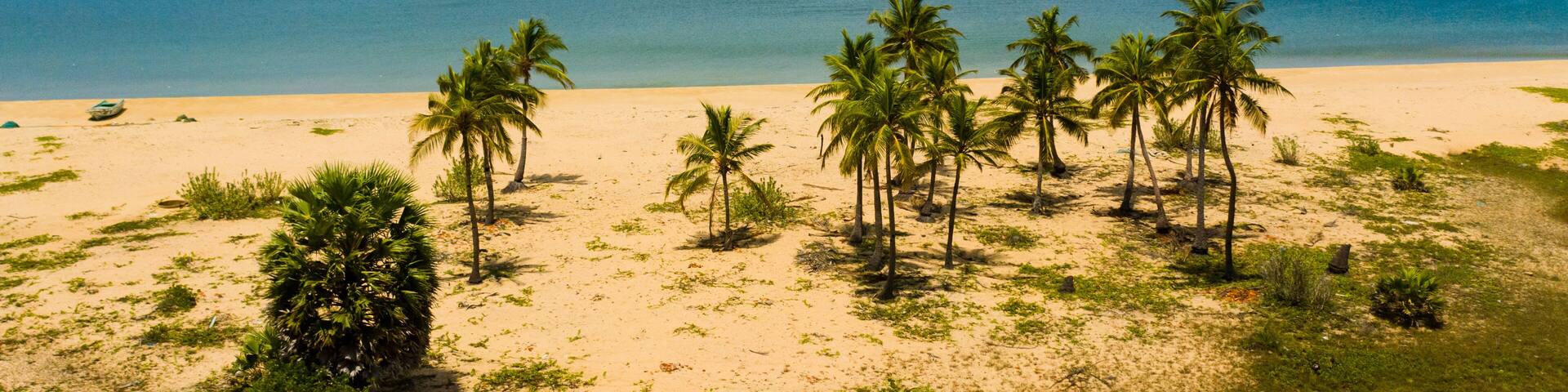 Aerial view of Tropical sandy beach with palm trees and blue sea. Sri Lanka.