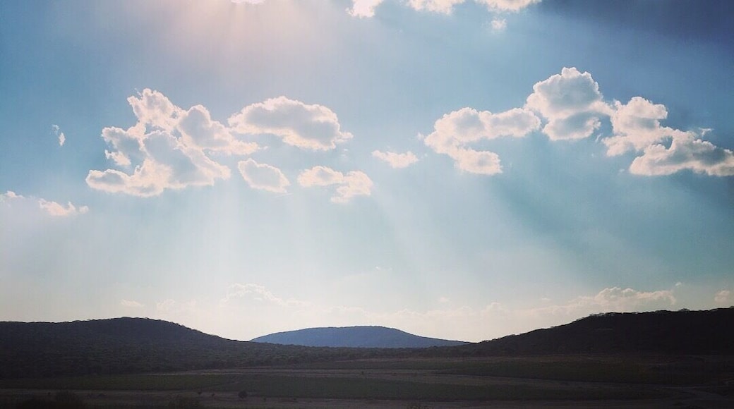 Great winery, really good food and the restaurant overlooking the field is amazing! Btw really great wine!