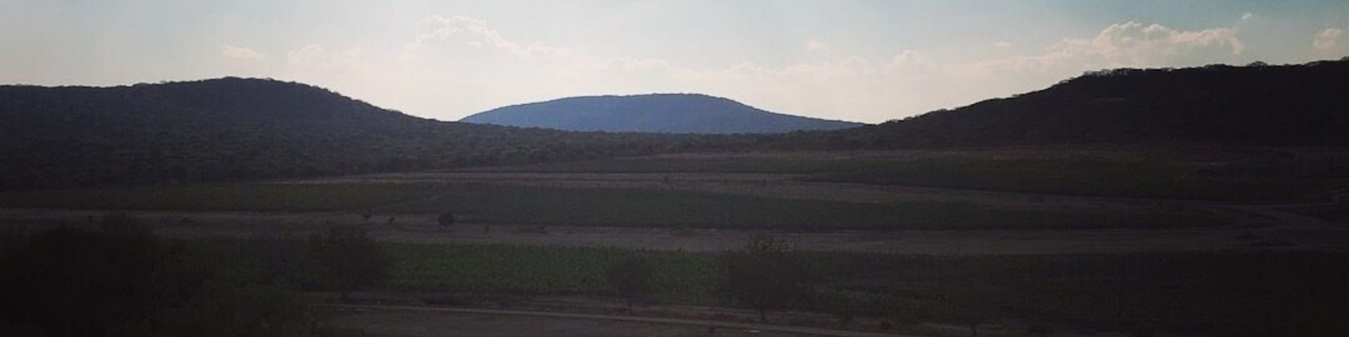 Great winery, really good food and the restaurant overlooking the field is amazing! Btw really great wine!