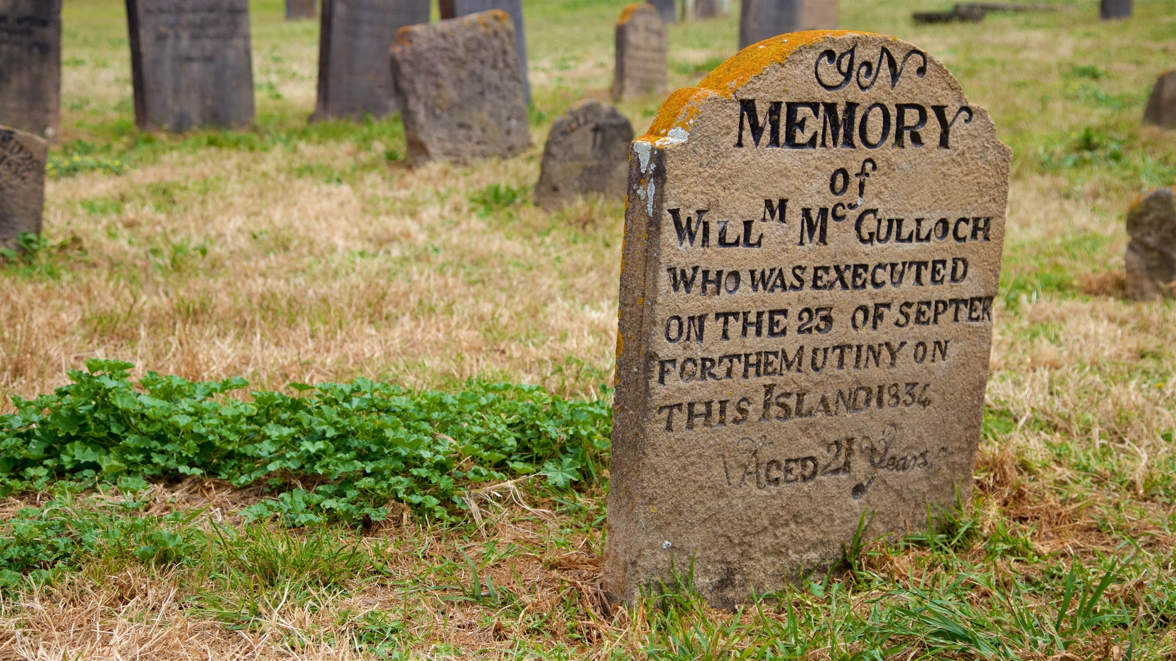 Norfolk-ön presenterar en kyrkogård