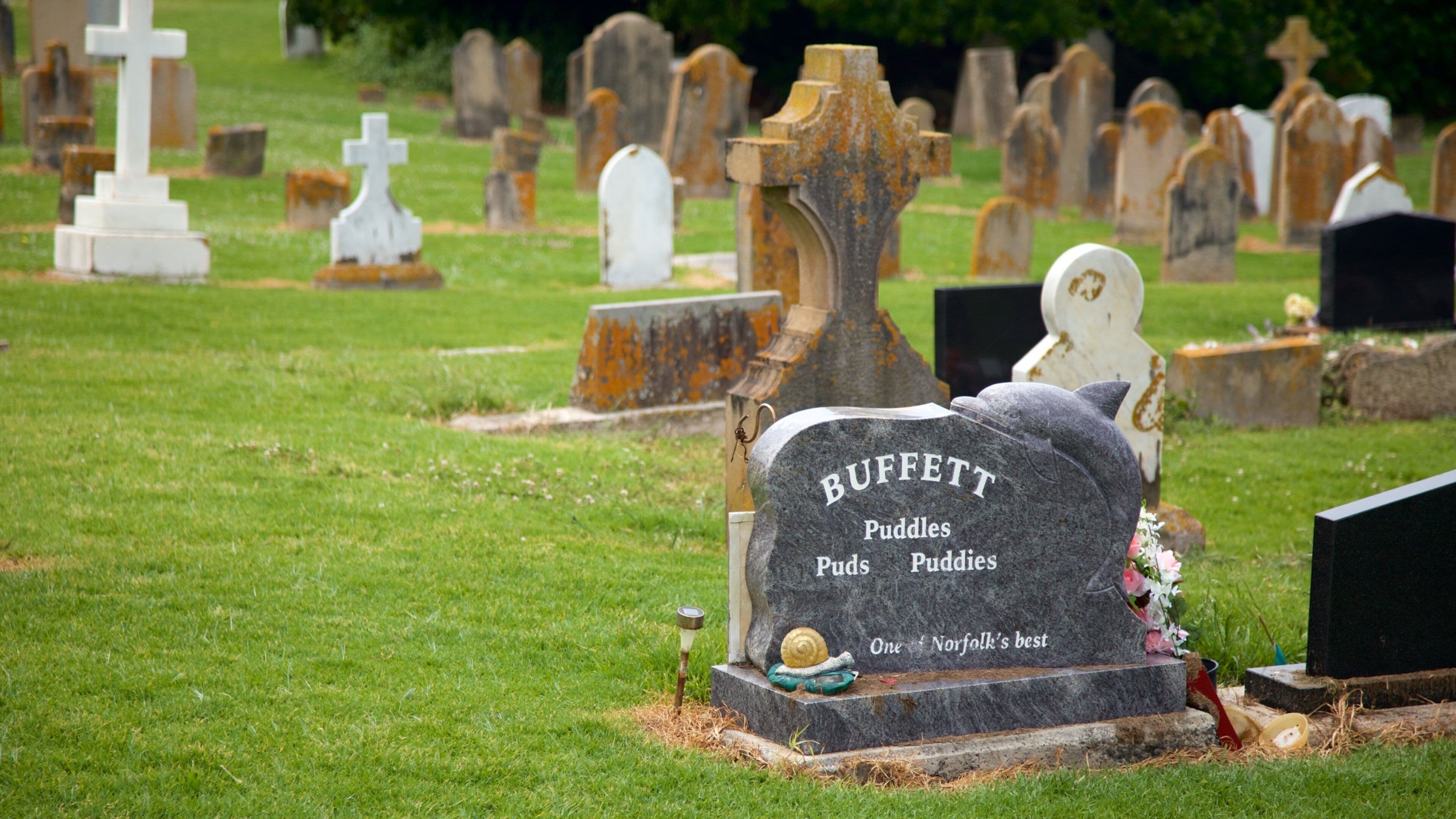 Norfolk-ön som visar en kyrkogård