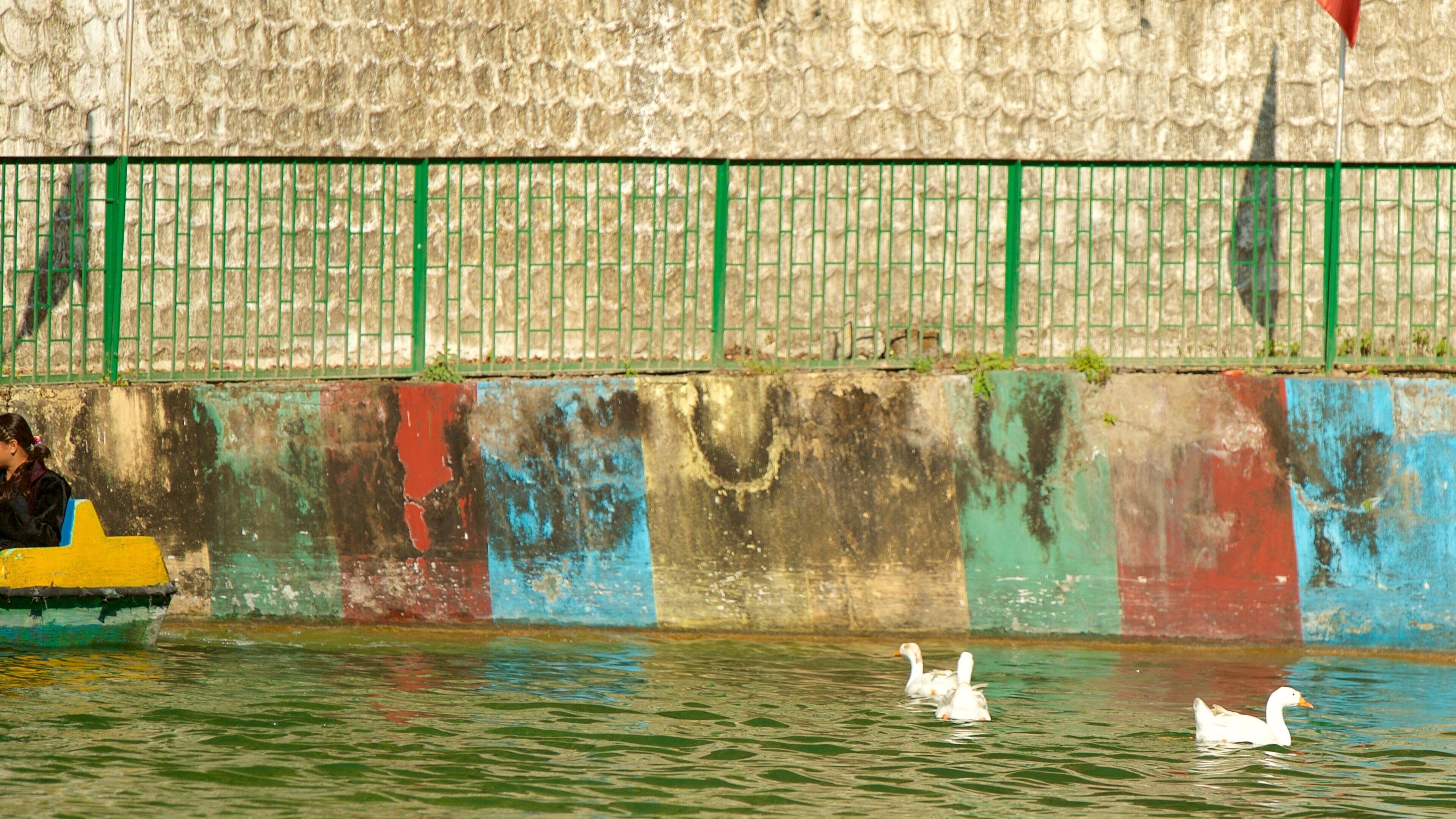Mussoorie caracterizando um lago ou charco