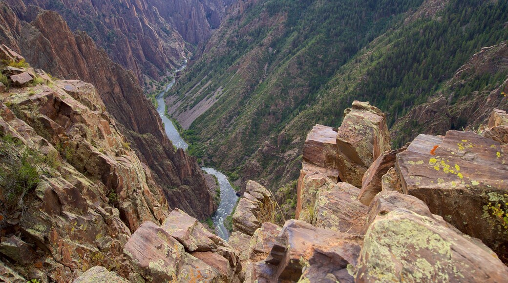 Montrose which includes a gorge or canyon and a river or creek