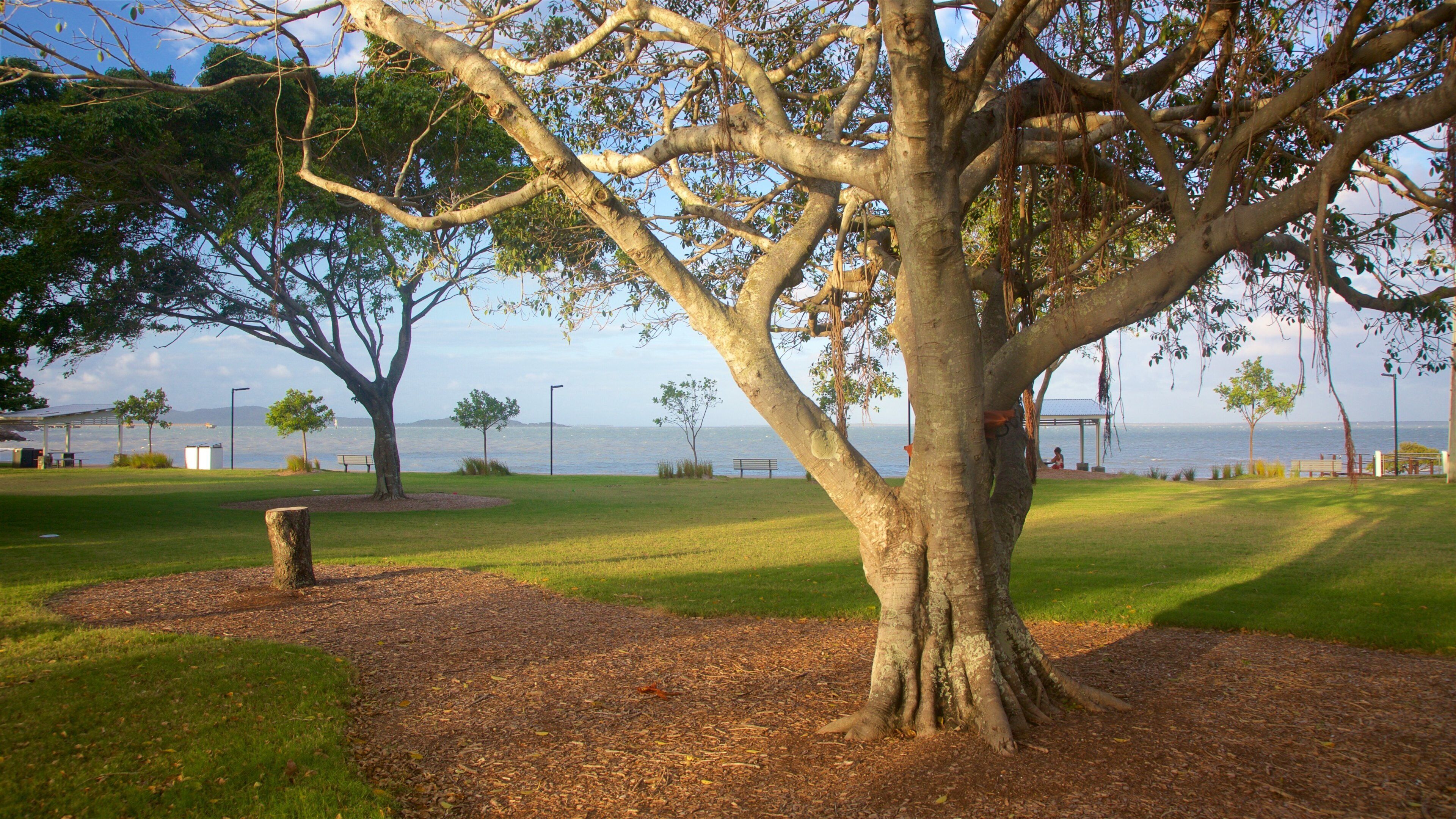 格拉德斯通 其中包括 花園 和 夕陽