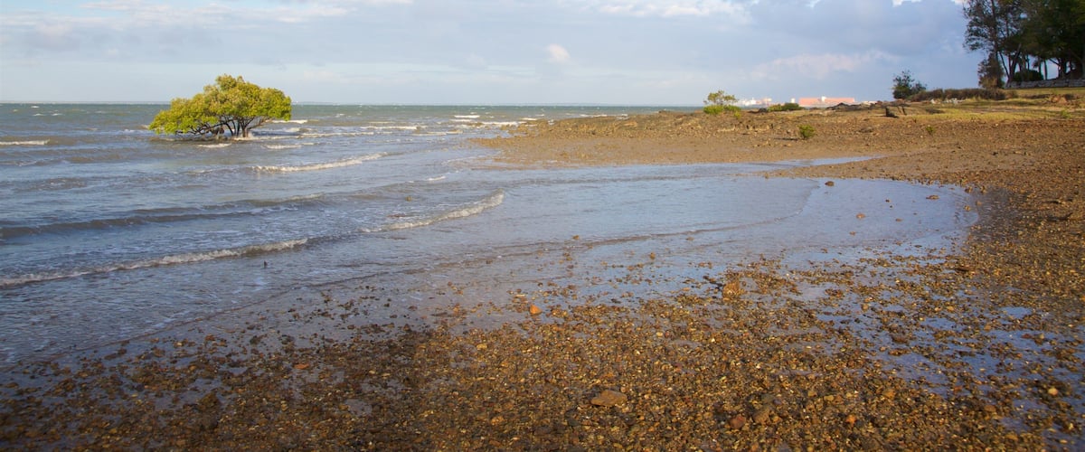 Barney Point Beach which includes general coastal views and a beach