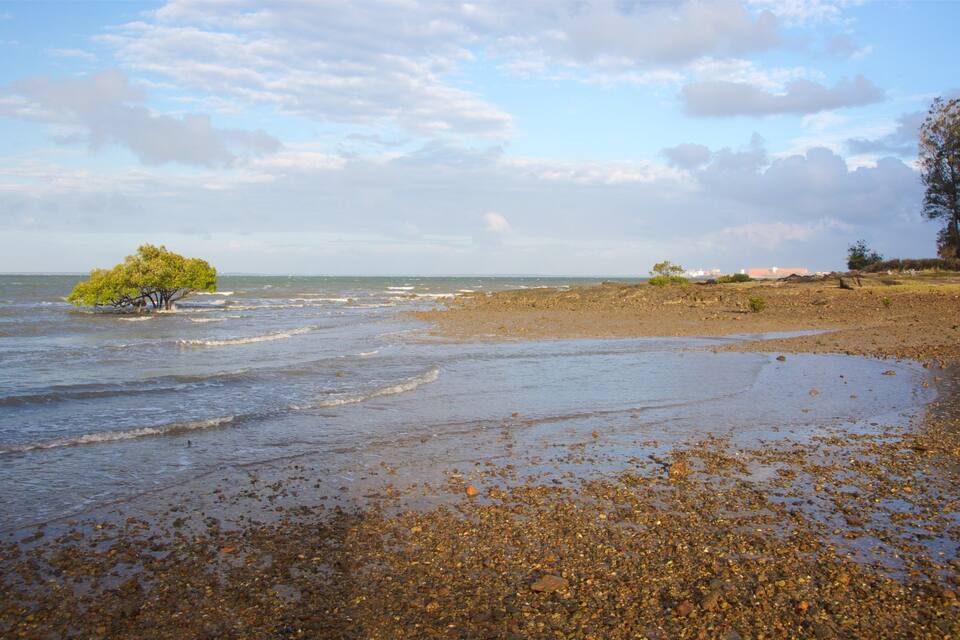 Een kiezelstrand met golven, een kleine boom en gebouwen in de verte.