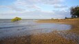 Barney Point Beach which includes general coastal views and a beach