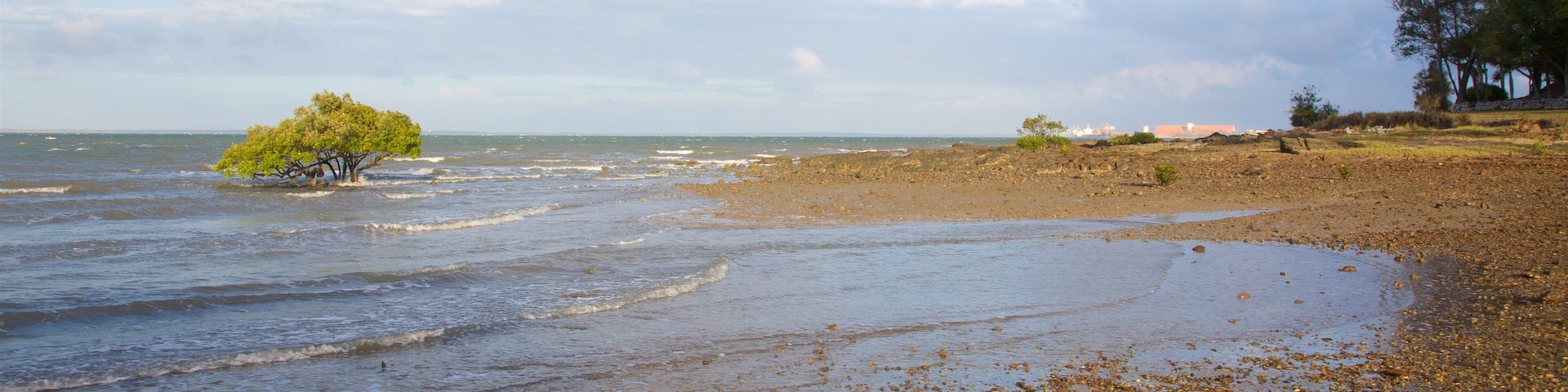 Barney Point Beach which includes general coastal views and a beach