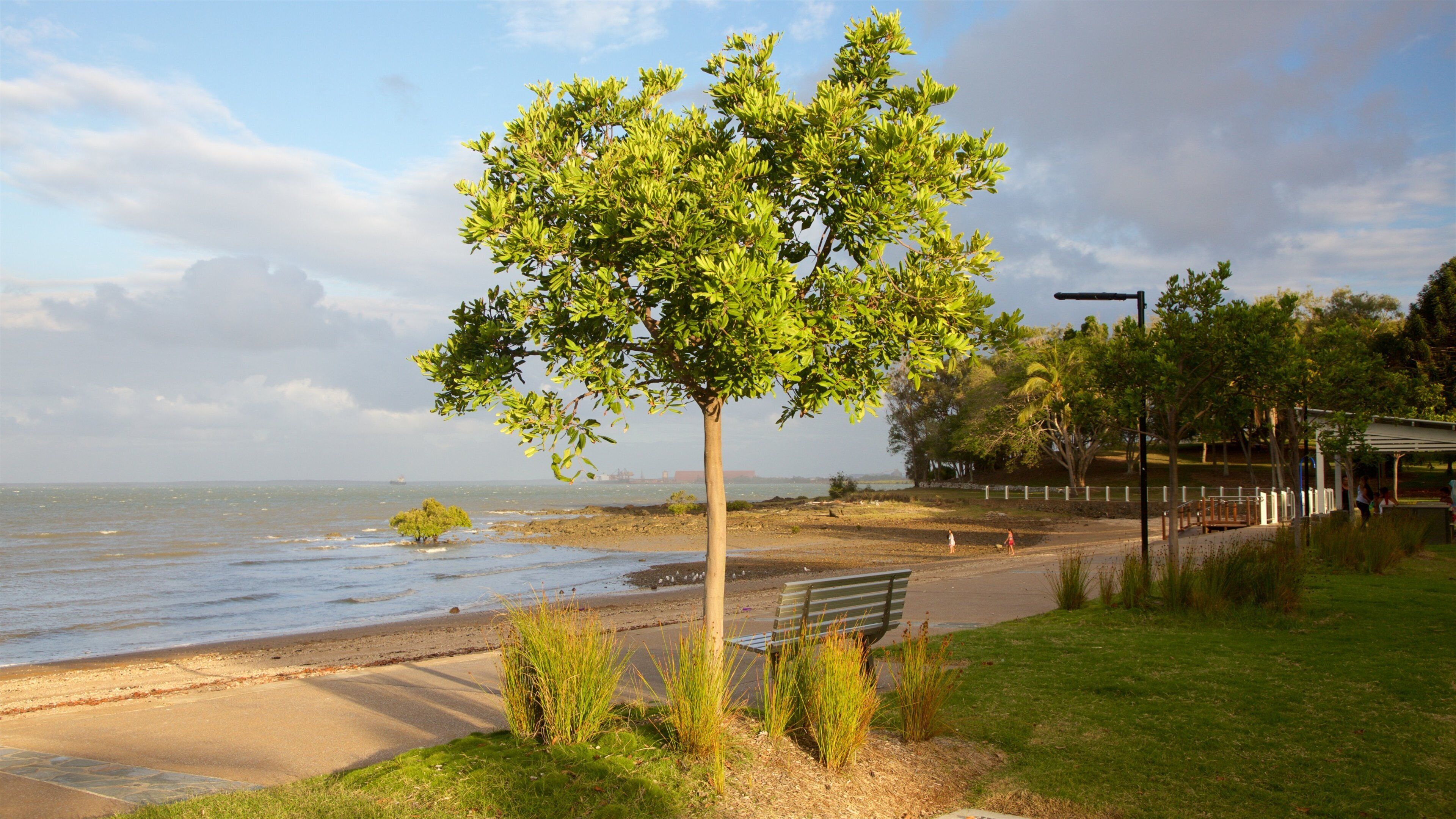 Barney Point Beach showing general coastal views