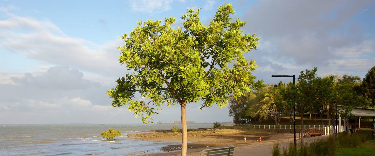 Barney Point Beach showing general coastal views