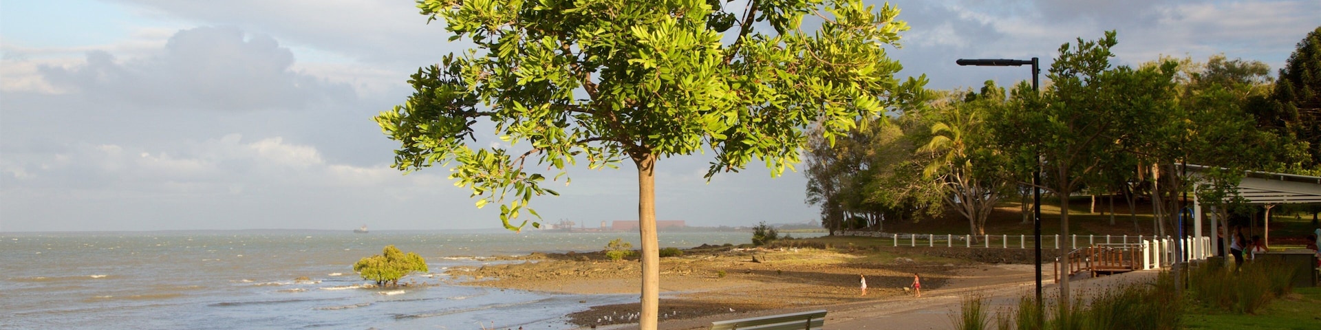 Barney Point Beach showing general coastal views