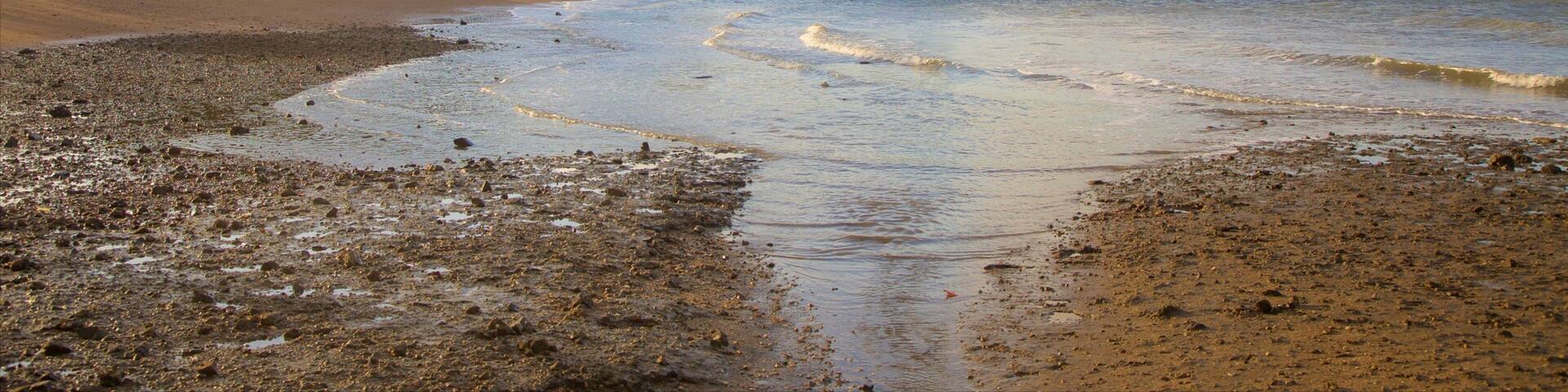 A beach with pebbles and waves, a building, and trees in the background.