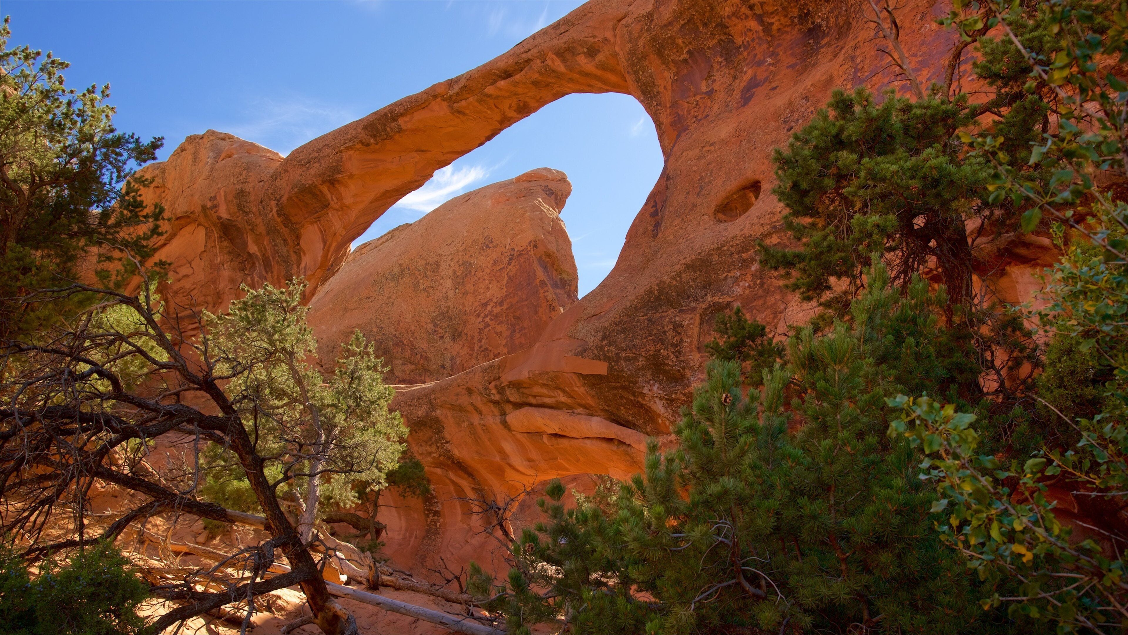 A large rock arch with a natural opening, surrounded by trees.
