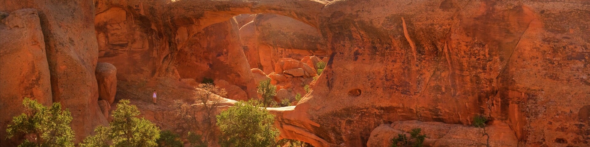 Double O Arch featuring a gorge or canyon