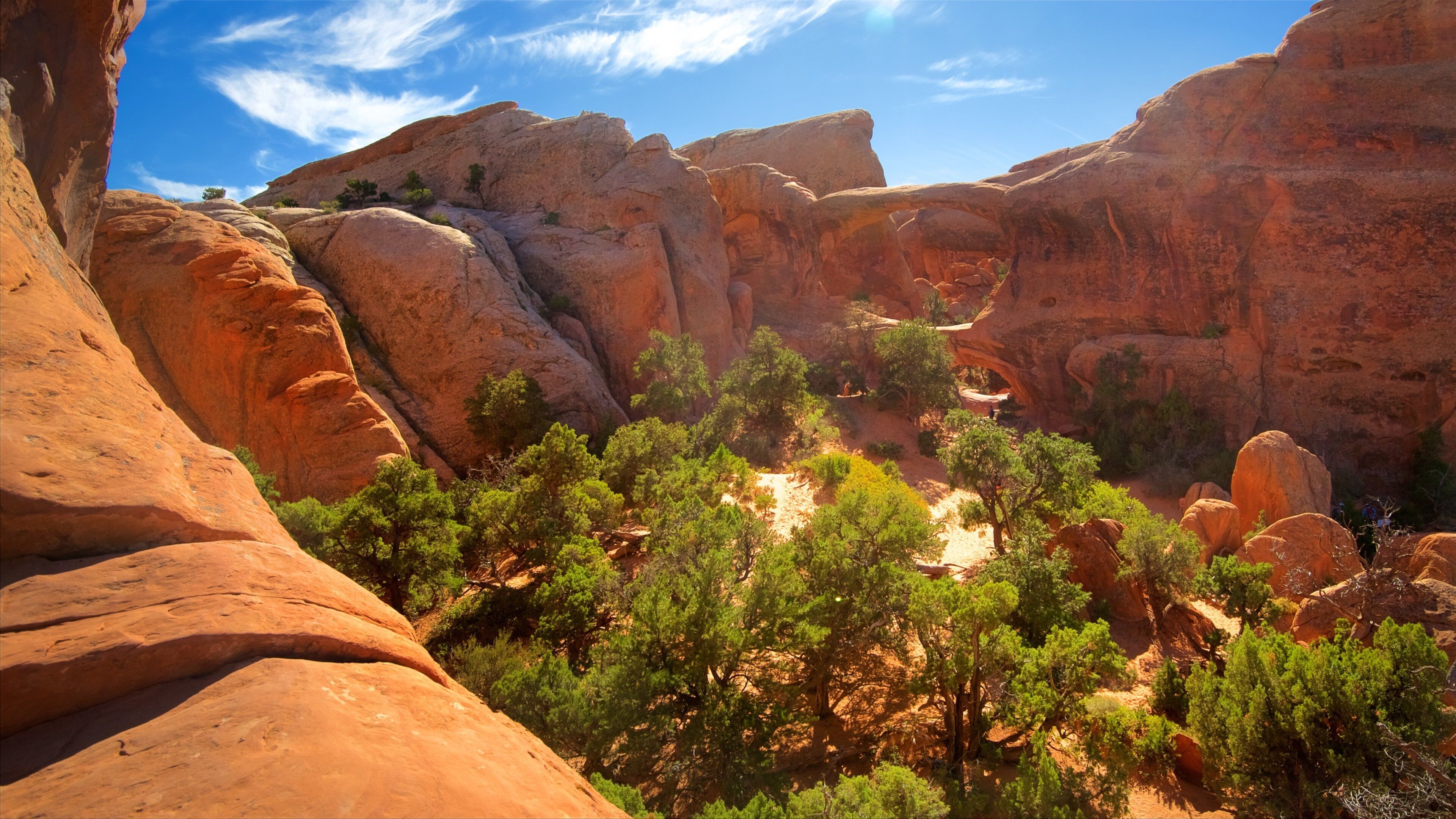 Double O Arch which includes a gorge or canyon