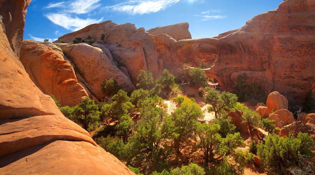 Double O Arch which includes a gorge or canyon