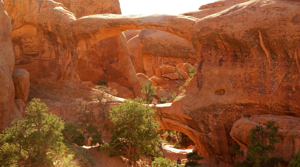 Double O Arch featuring a gorge or canyon