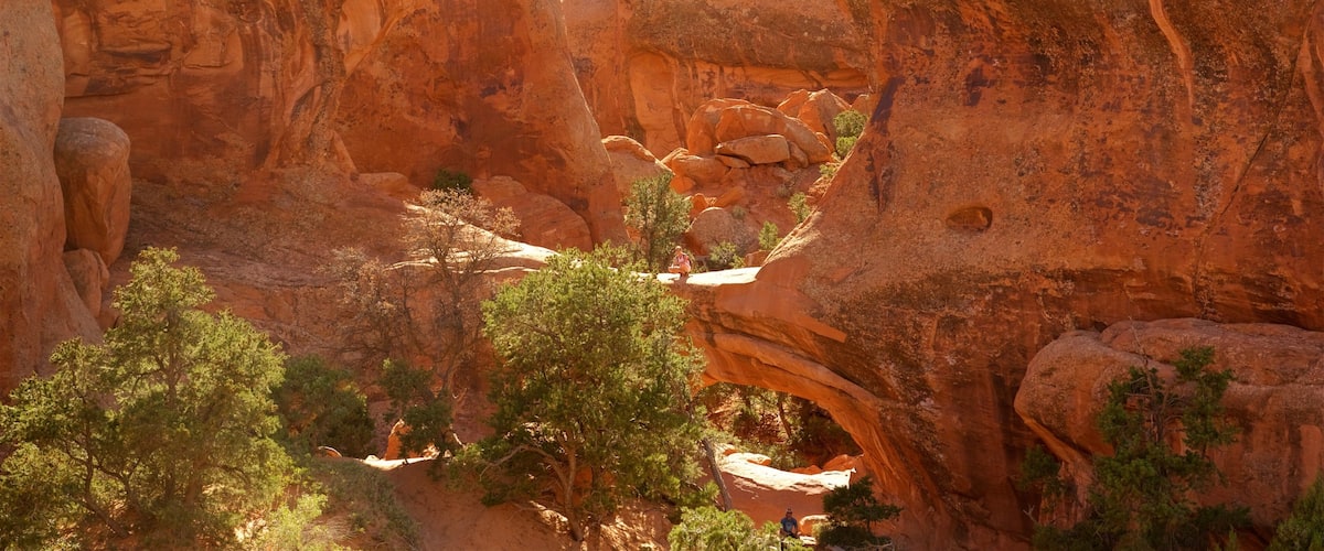 Double O Arch featuring a gorge or canyon