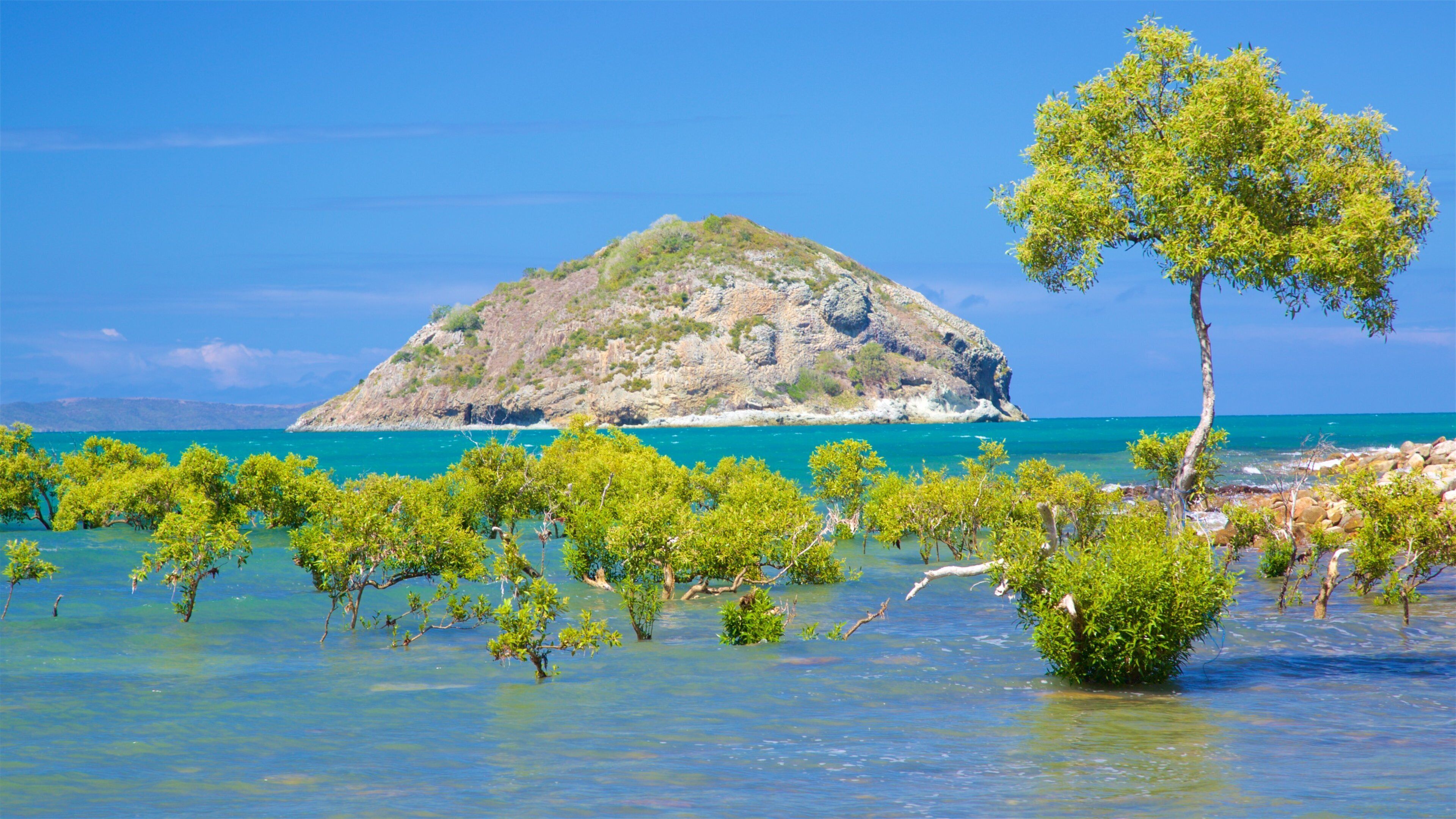 Rosslyn Bay which includes island views and general coastal views
