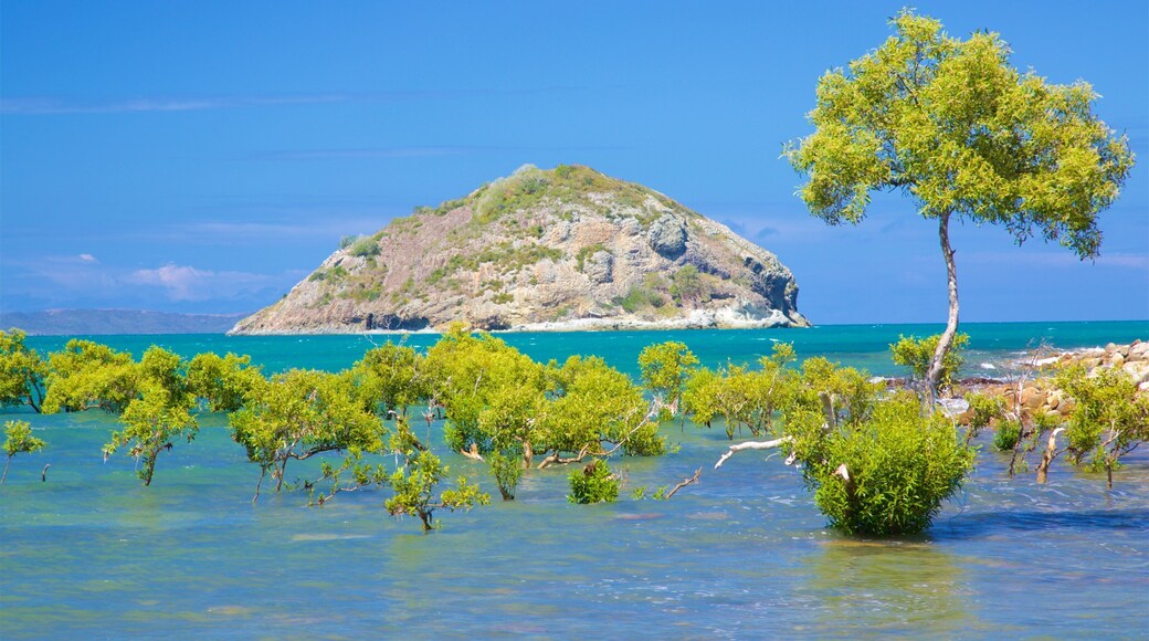 Rosslyn Bay which includes island views and general coastal views