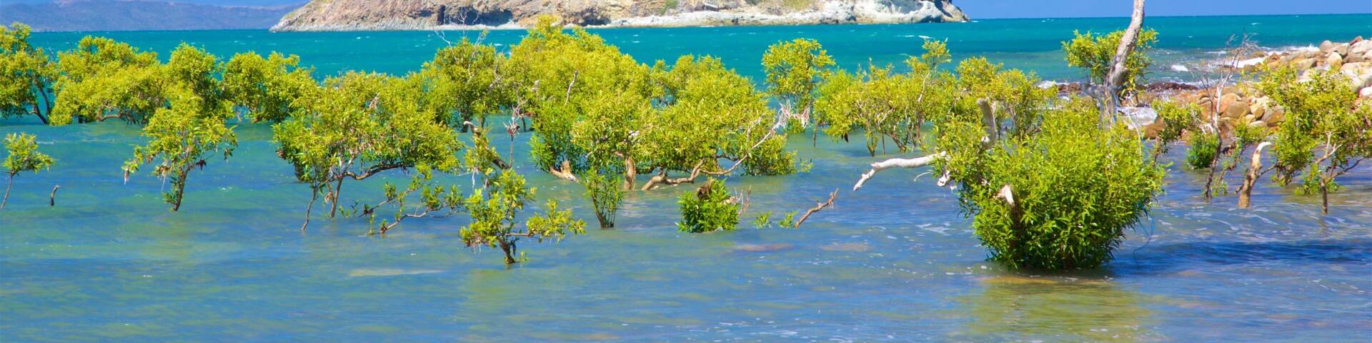A clear blue sea, a small island with rocky terrain, and green trees in shallow water.