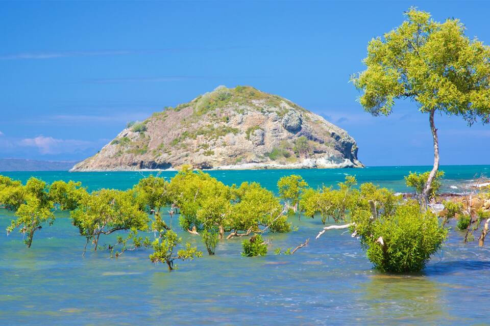 Mare cristallino, una piccola isola con terreno roccioso e alberi verdi in acque poco profonde.