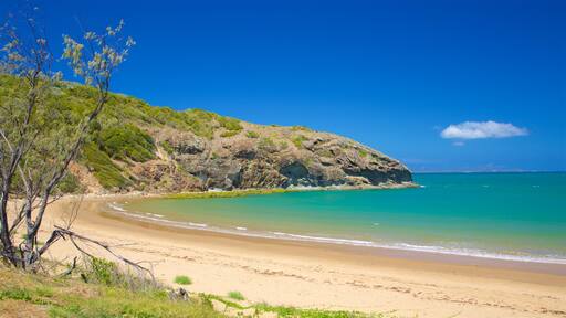 Yeppoon bevat algemene kustgezichten en een strand