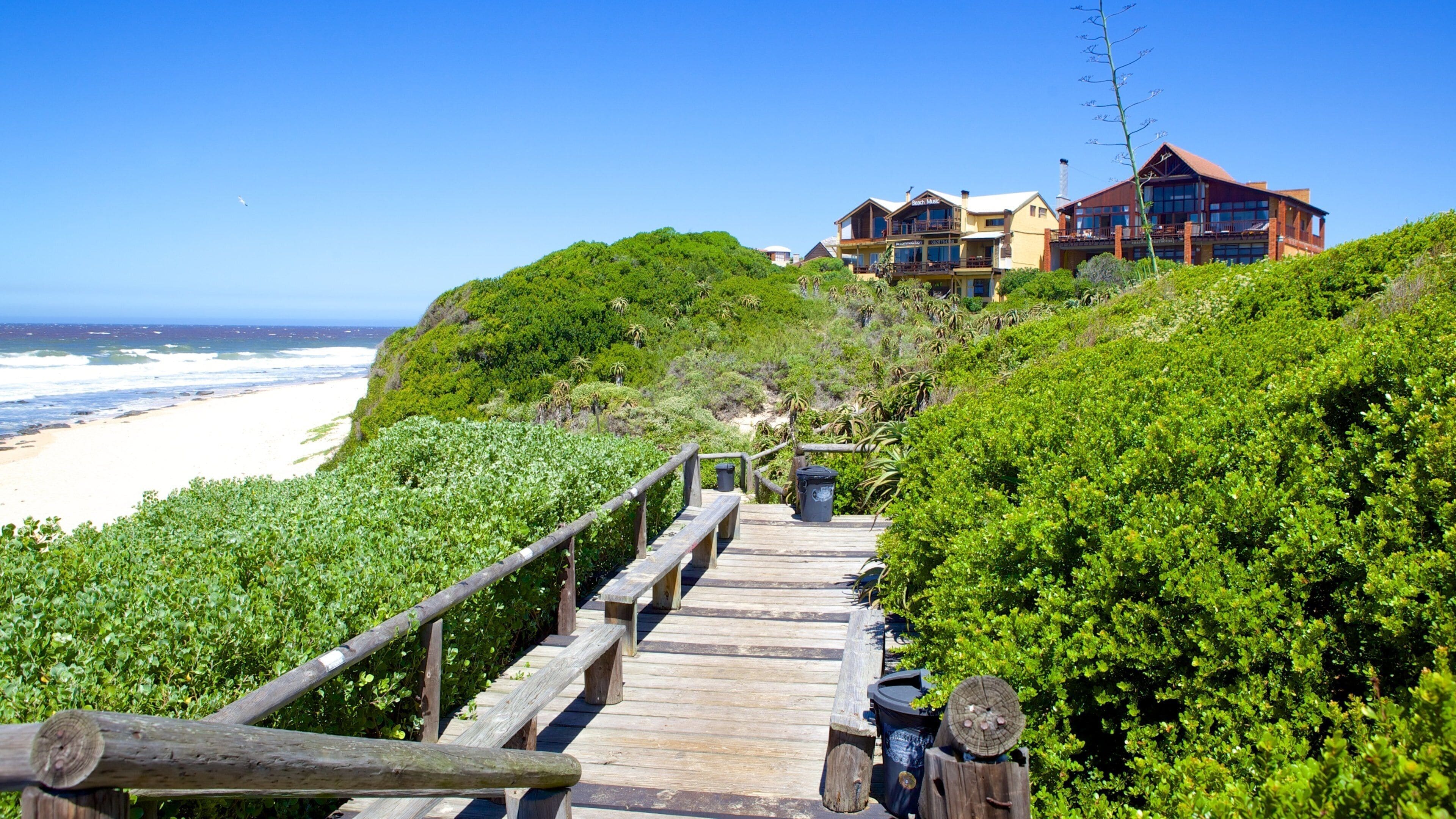 Dolphin Beach som inkluderer kystby, hus og strand