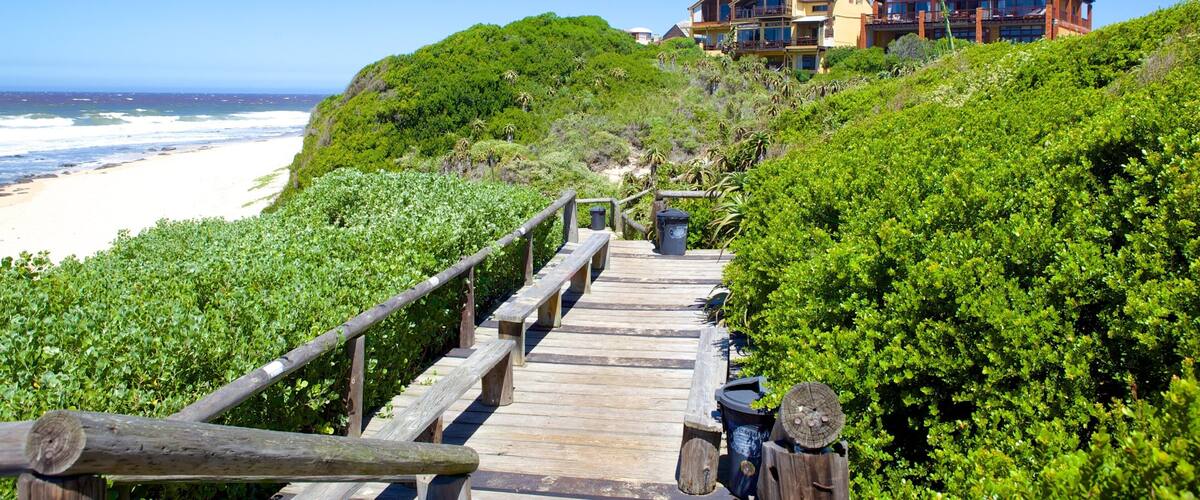 Bãi biển Dolphin có tính năng bãi biển cát, căn nhà và thị trấn duyên hải