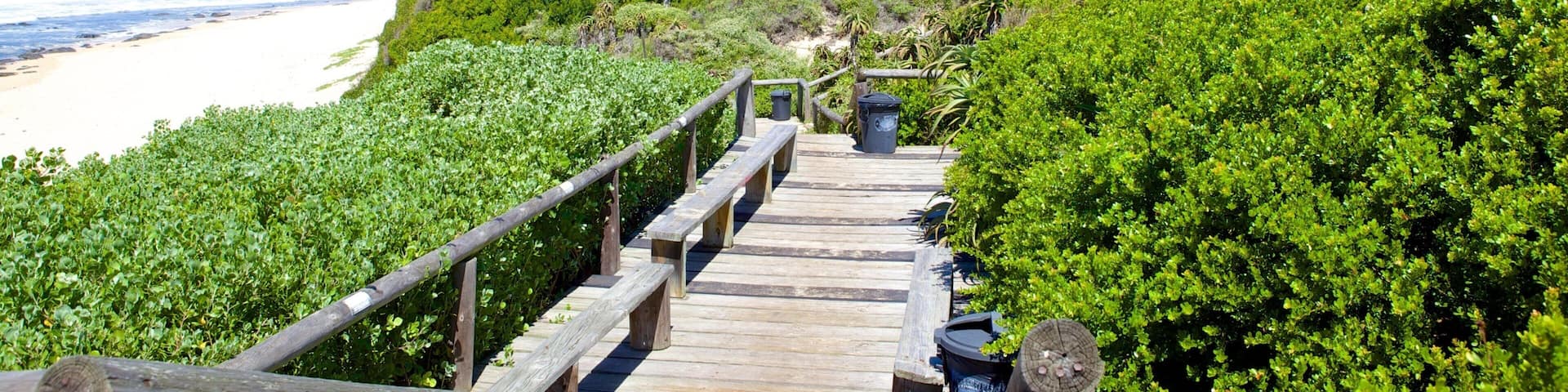 A wooden boardwalk leading to a beachfront property with a beach and ocean in the background.