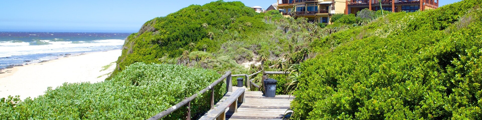 Playa Delfín que incluye una ciudad costera, una casa y una playa