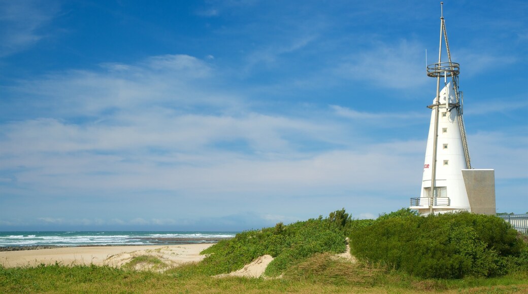 ドルフィン ビーチ フィーチャー ビーチ